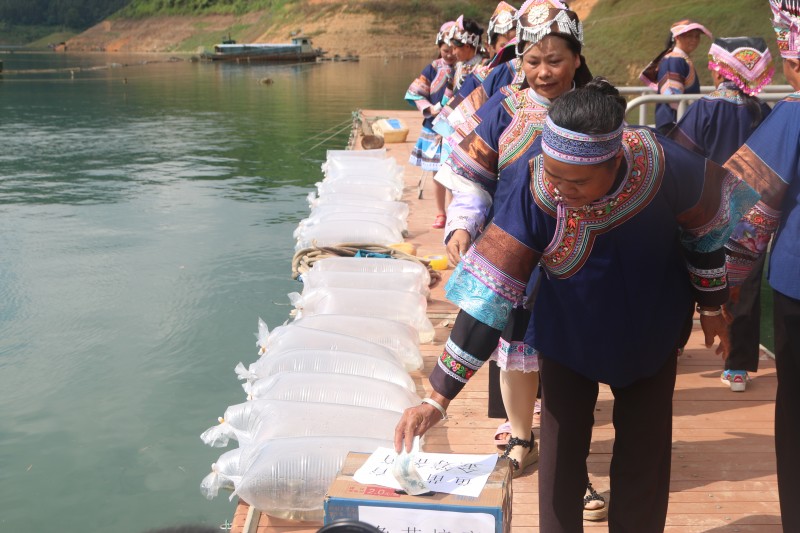 1709515646977464.jpg 2023.9.22增殖放流科普宣传活动7.JPG