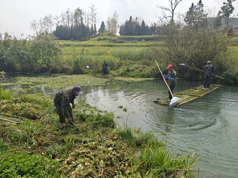 1710722640705138.jpg ab25a2a3a8c52f40488d1254e8ff599.jpg