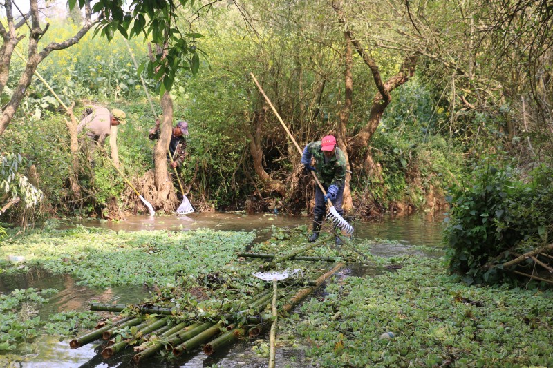 1710722653958430.jpg IMG_9905.JPG