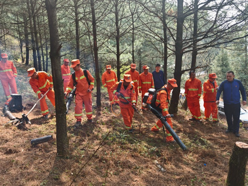 1715410928800638.jpg 3.森林防灭火应急演练.jpg