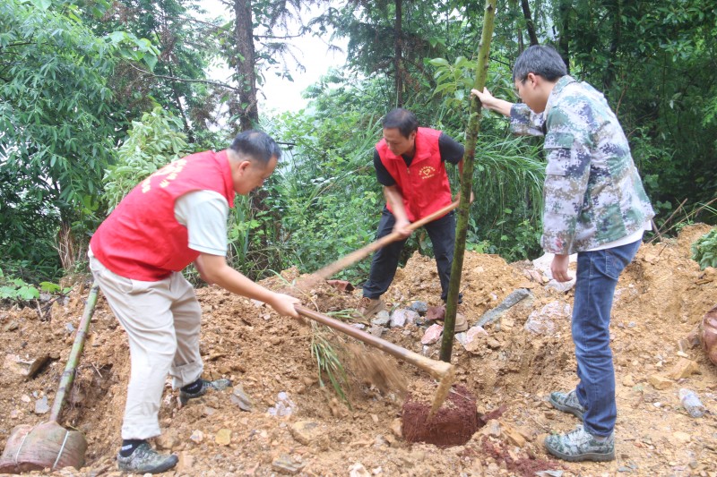 1718864731478798.jpg IMG_5920.JPG