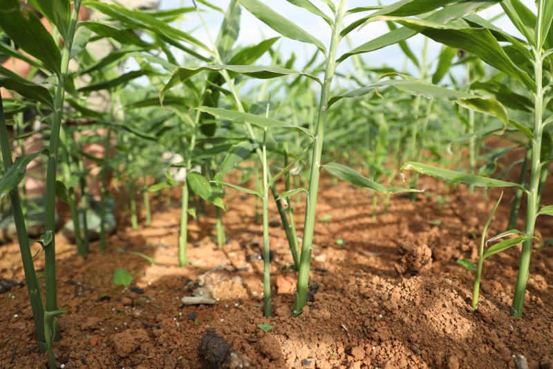 1722213341523369.jpg 188A9273.JPG