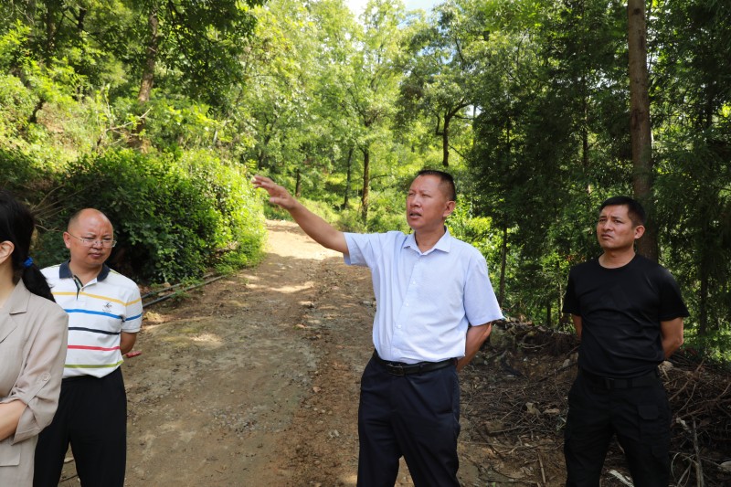 1723361490699669.jpg F10A8545.JPG