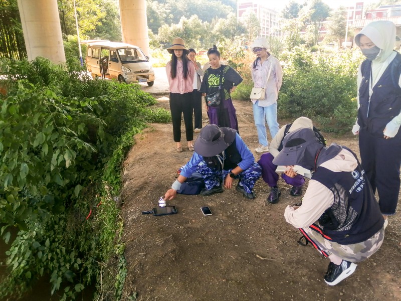 1724307769343472.jpg 1 (2).jpg