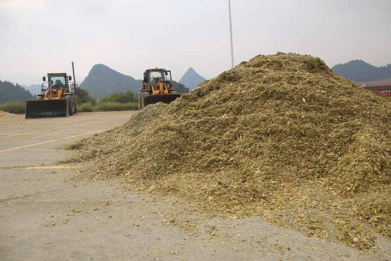 1727656999220855.jpg IMG_3244.JPG