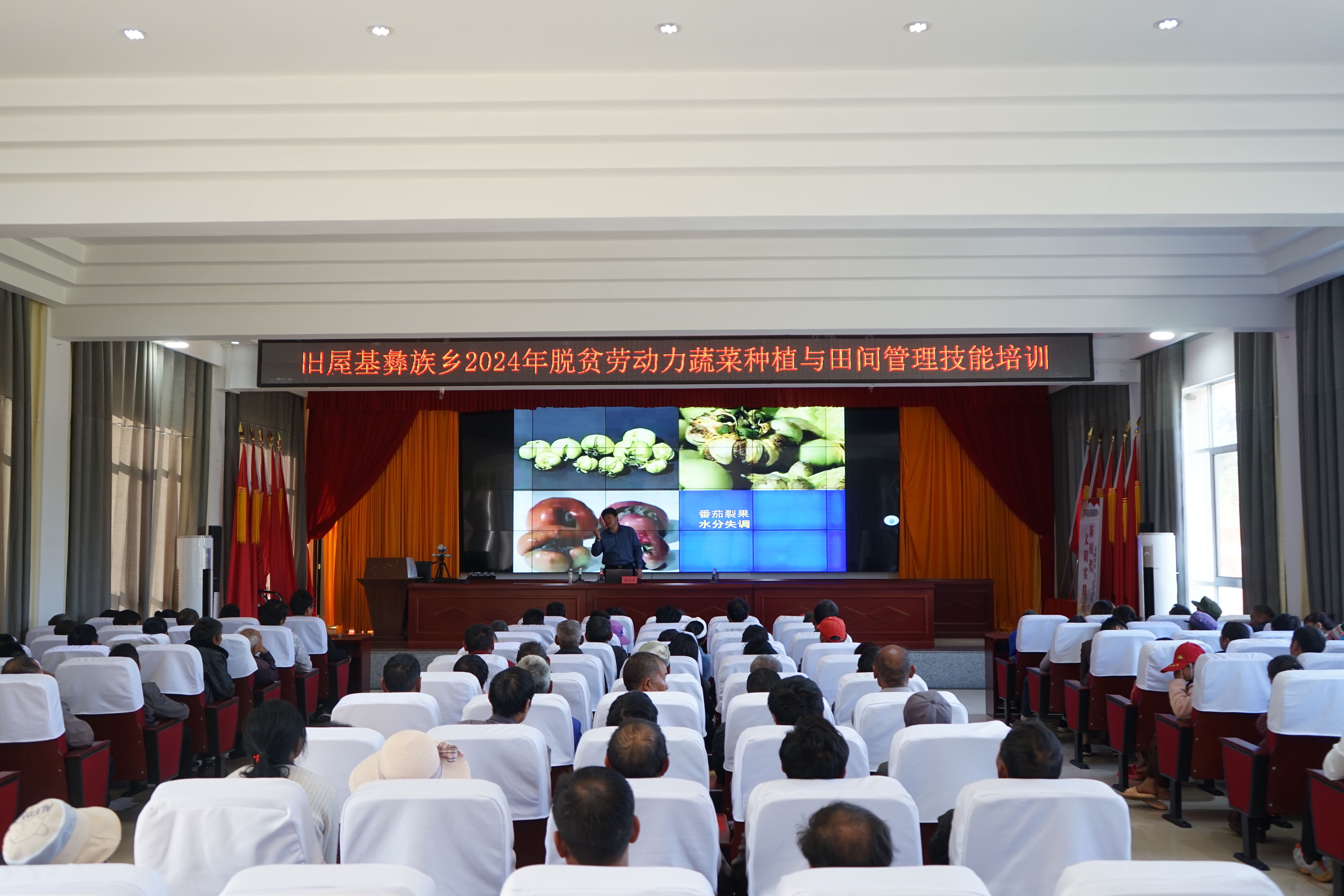 1730254636484442.jpg DSC00025.JPG