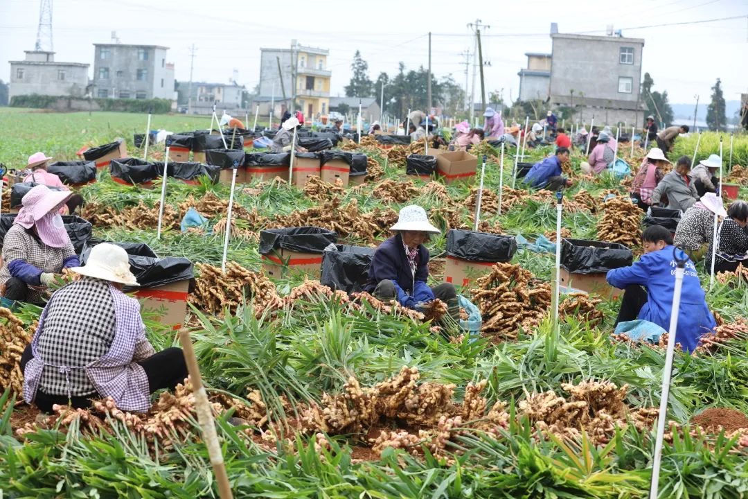 1730858864849907.jpg 2.jpg