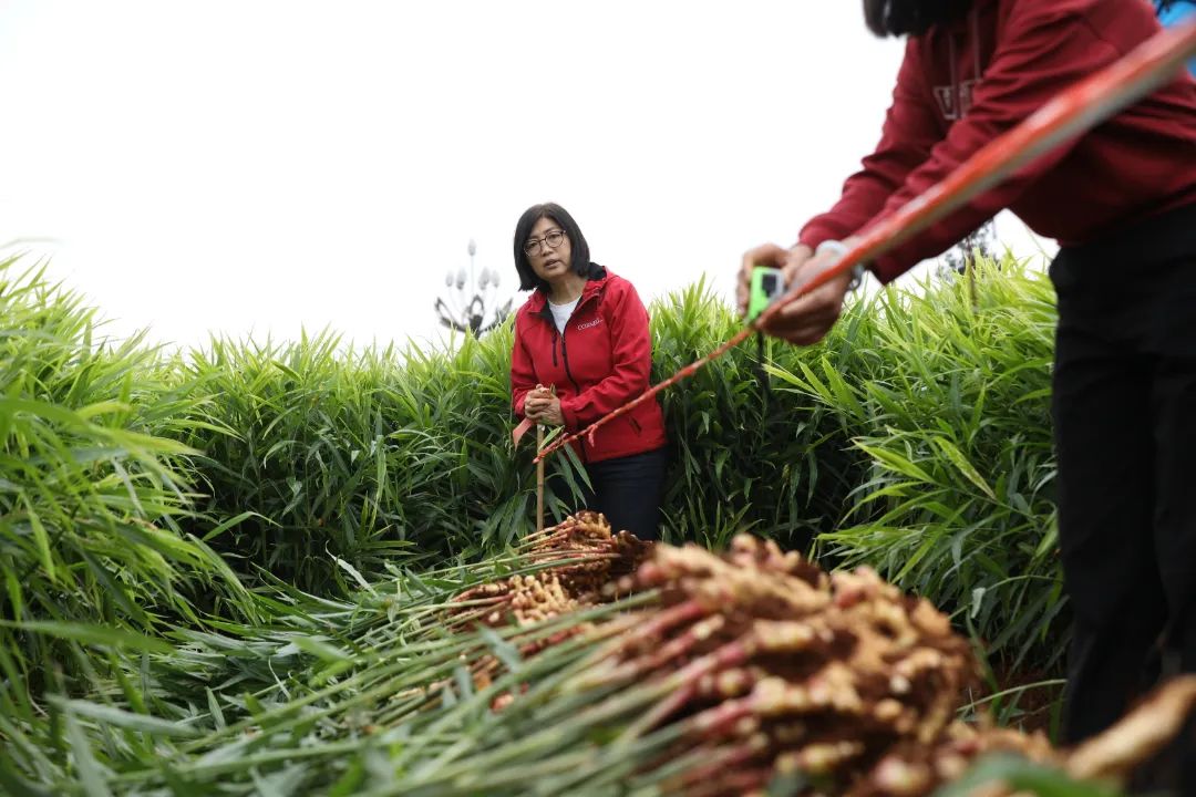 1730858880270236.jpg 3.jpg