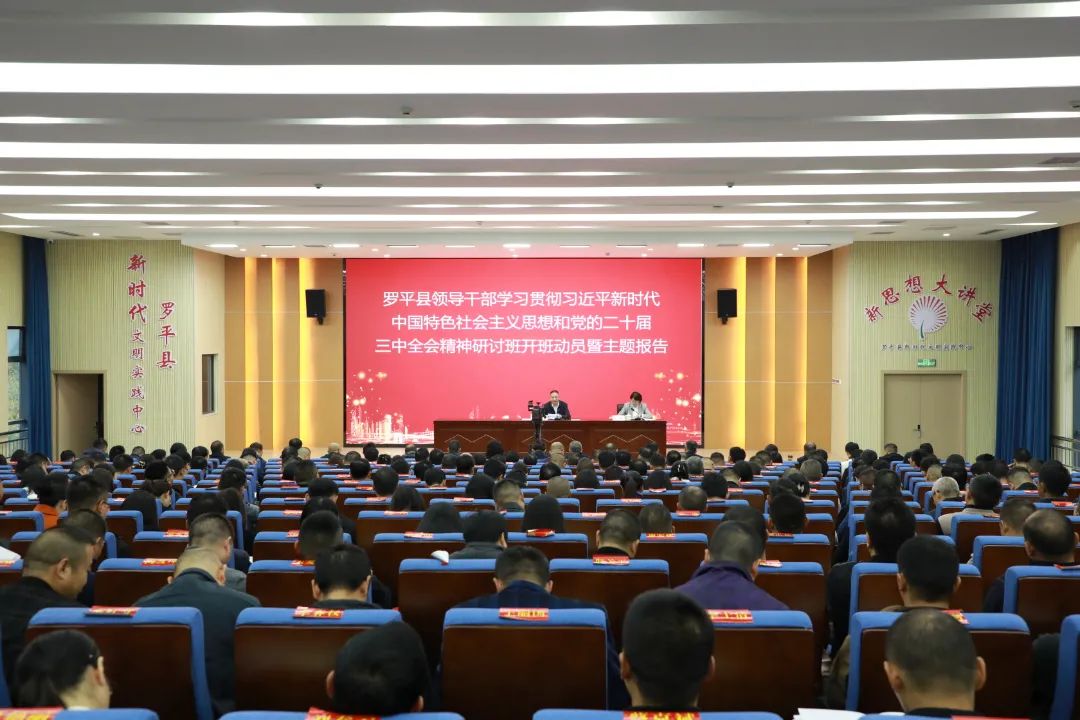 1731403782716061.jpg d5dc6572-3aa5-433f-8e2e-9065ecd10276.jpg