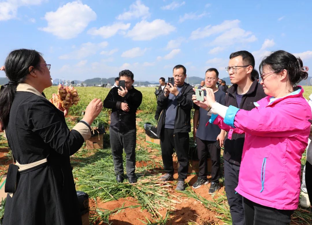 1731484104640568.jpg 16281e71-3d69-456d-801d-5762f321ab57.jpg