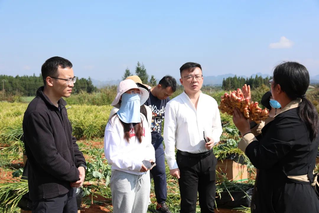 1731484114193525.jpg 8313b03b-50cf-474b-a1e9-5942745612fa.jpg