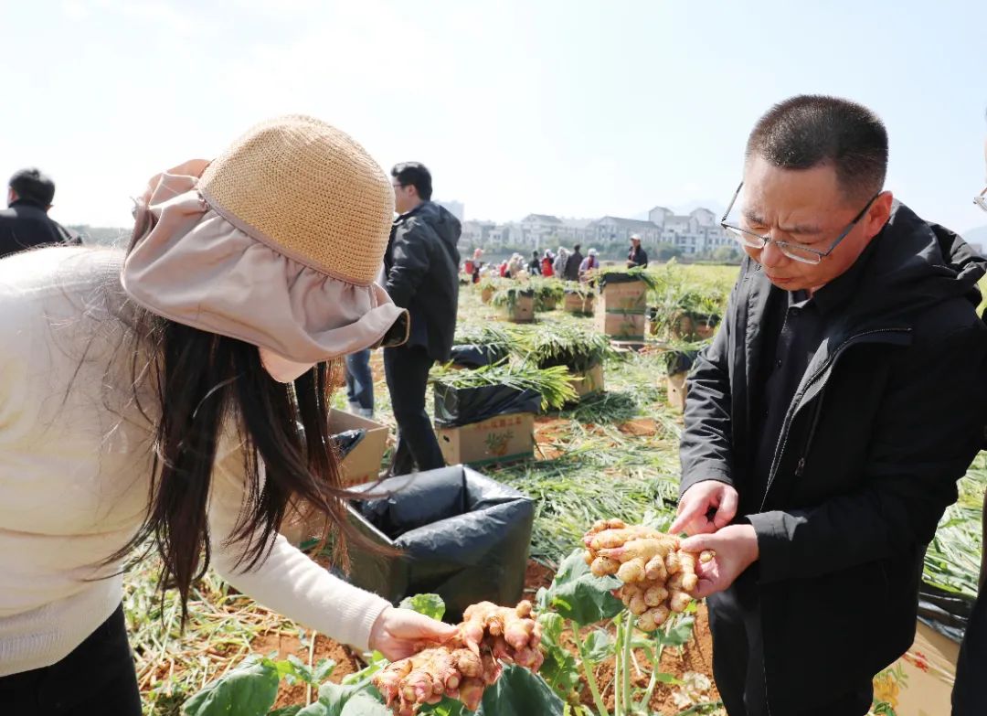 1731484130249059.jpg 27d6d3a4-bf72-49cb-9d80-e97773b2eded.jpg