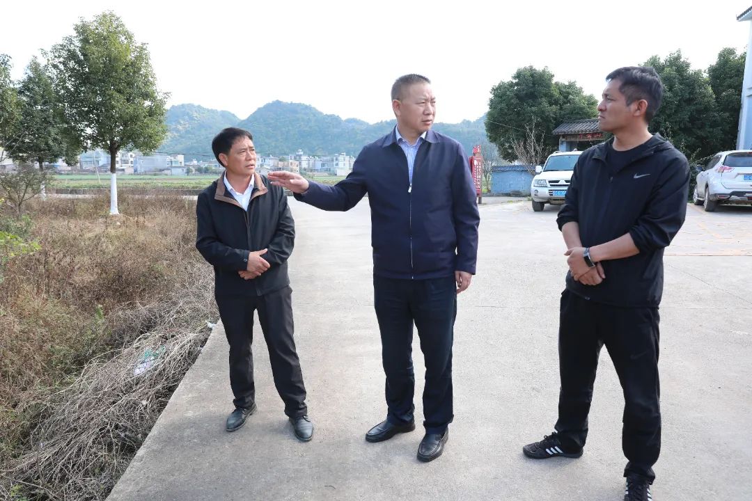 1731902515751107.jpg 2.jpg