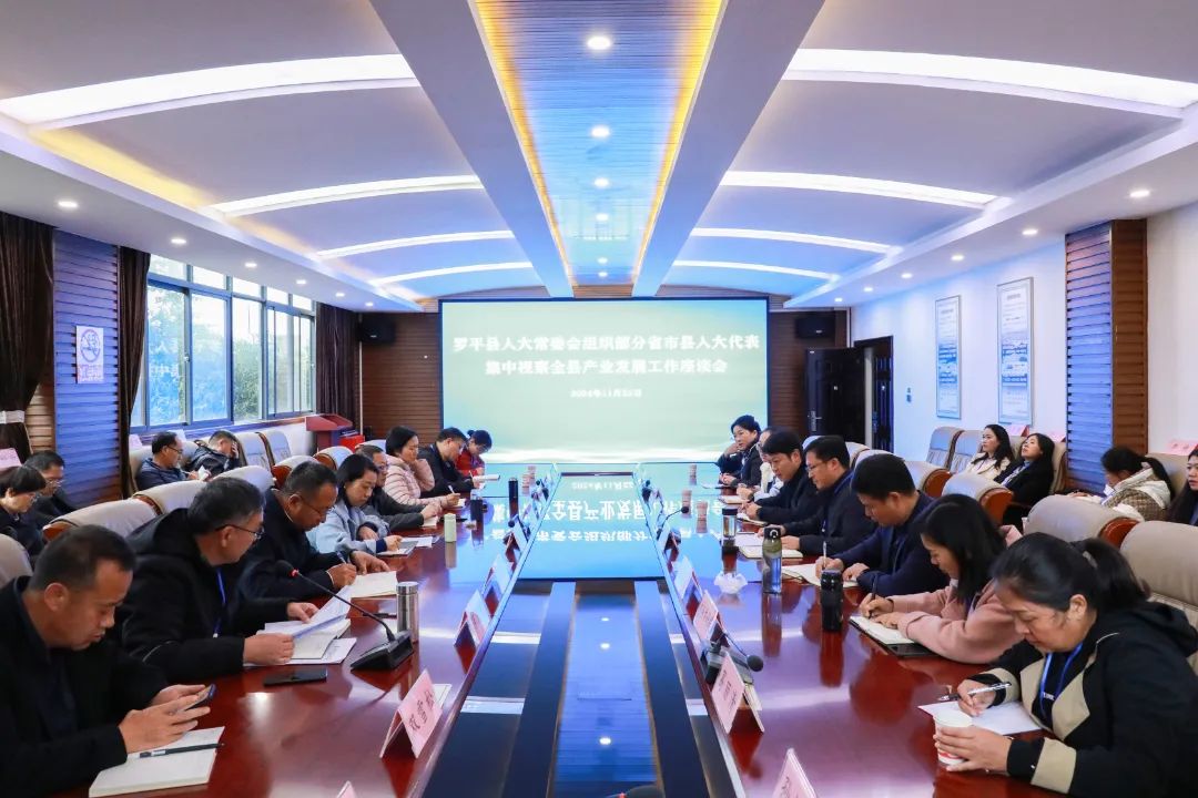 1732523254744110.jpg 2.jpg