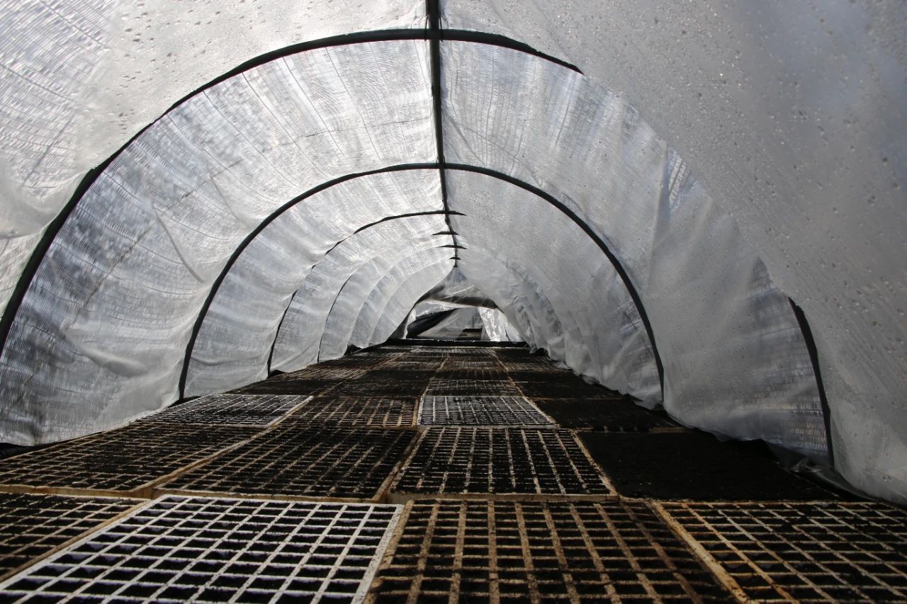 1741145817905325.jpg f2228fe7fec8f34a93efed22046497d5.jpg