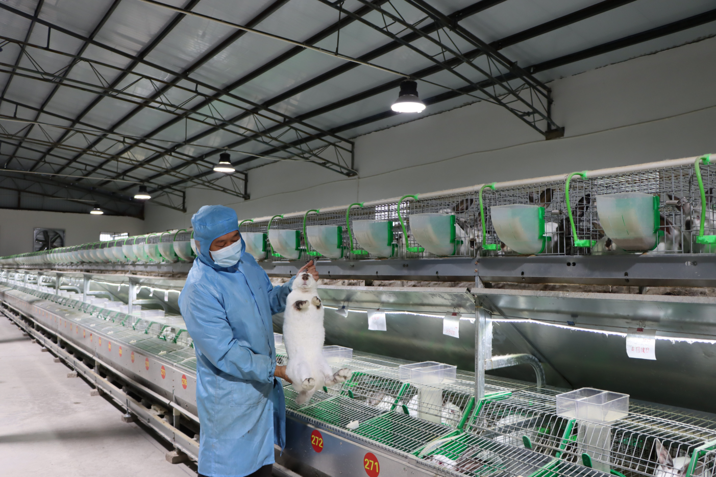 1748403227918709.png 2-可用图.png