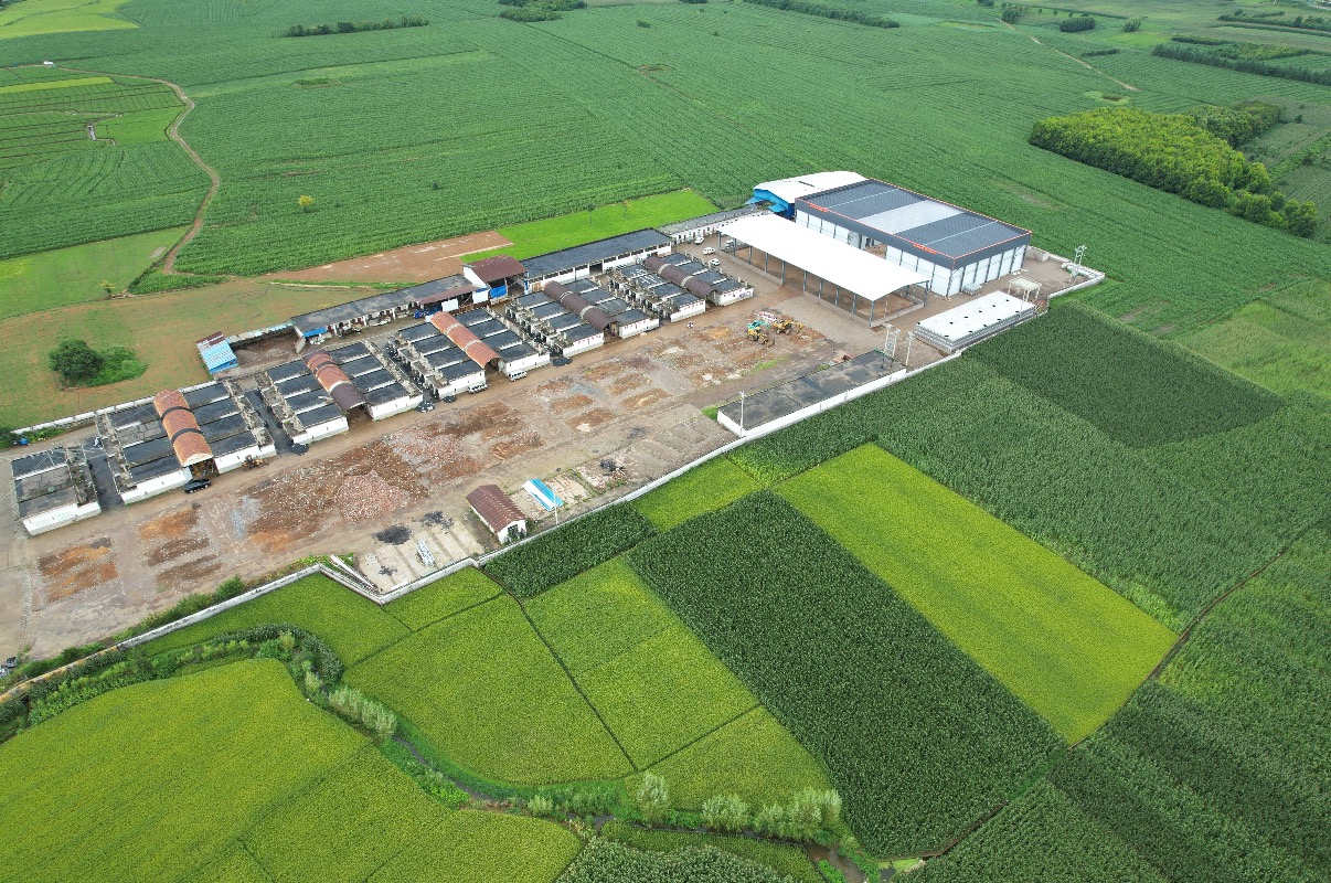 1755832957600910.jpg 66cffc76167d8521a9fcbaad09c673c.jpg