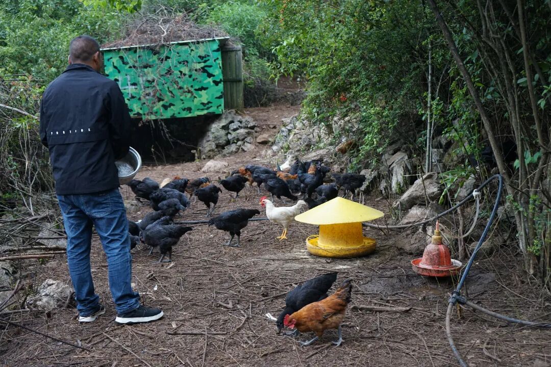 1761096970333442.jpeg 1.jpeg