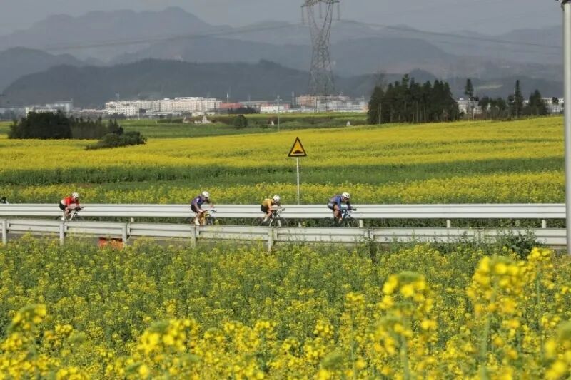 1761277972687295.jpg 1.jpg