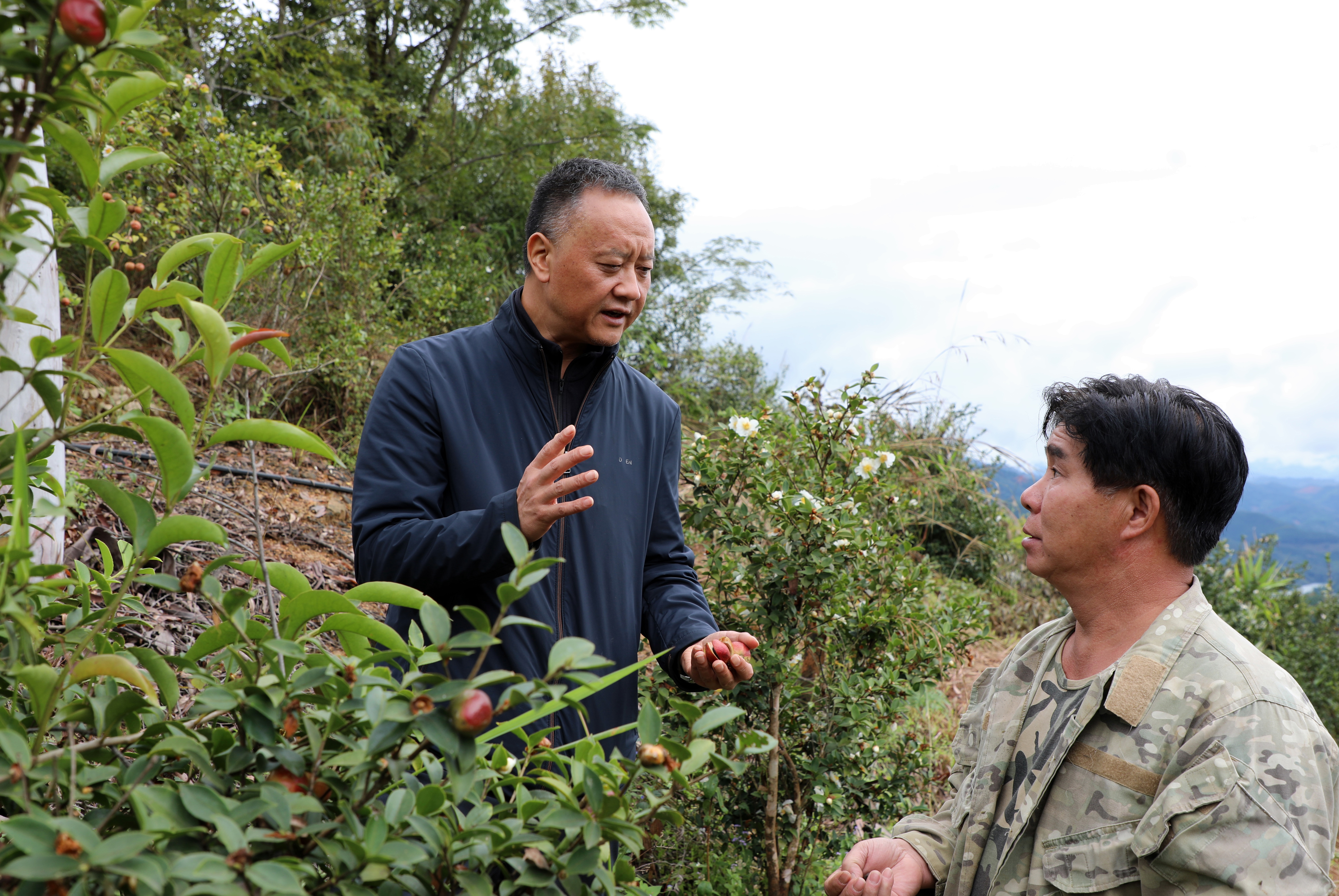 1762479886450127.jpg 2.jpg