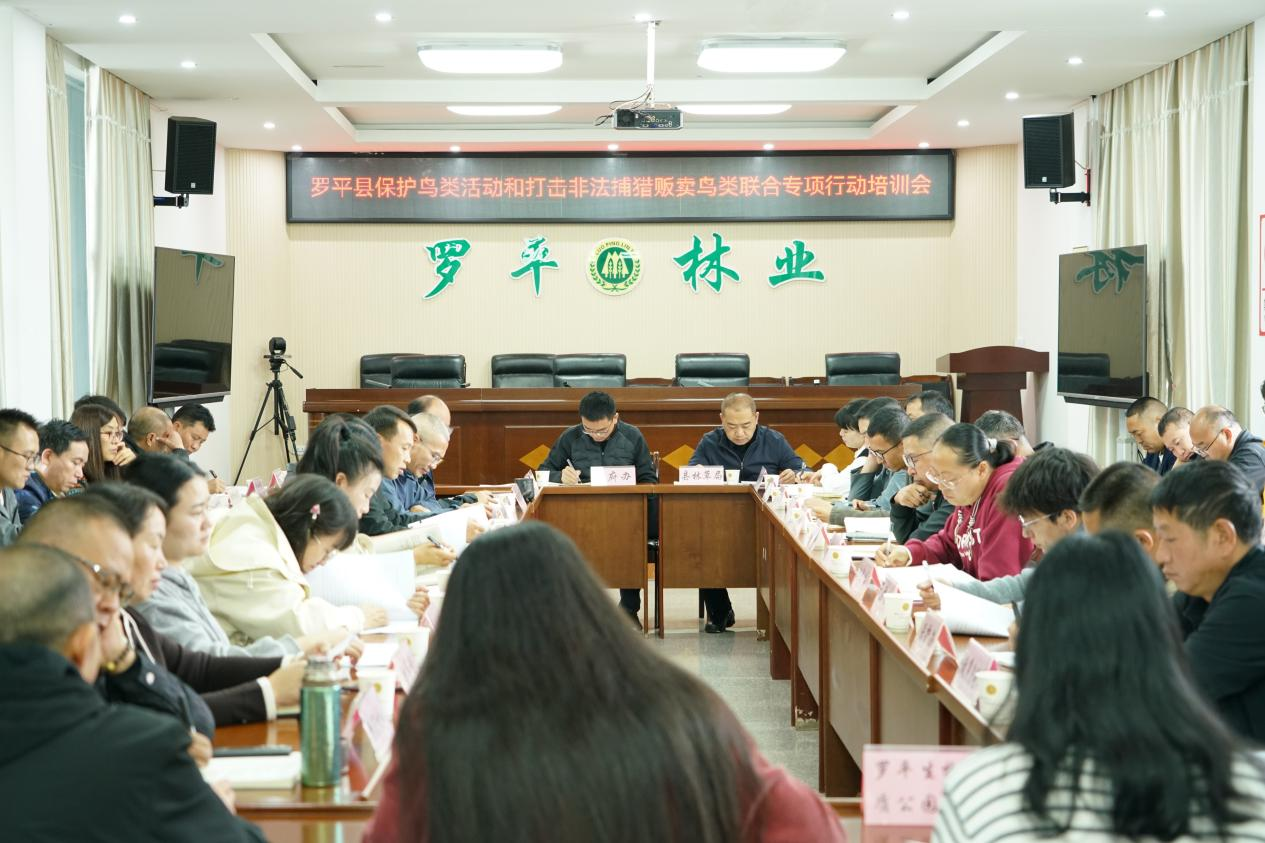 1763023059916290.png 图片1.png